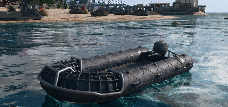 The RHIB